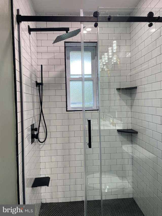 bathroom featuring a shower with door