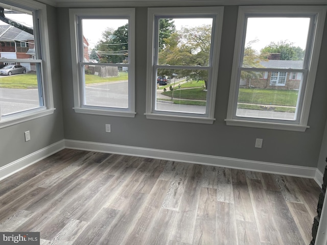 interior space featuring plenty of natural light and wood-type flooring