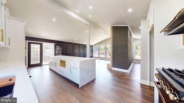 kitchen with lofted ceiling, dark hardwood / wood-style flooring, a wealth of natural light, and white cabinetry