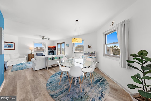 dining space with ceiling fan and light hardwood / wood-style flooring