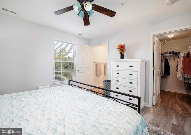 bedroom featuring ceiling fan, dark wood-type flooring, a closet, and a walk in closet