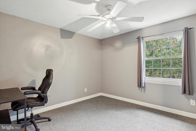 office with ceiling fan and carpet