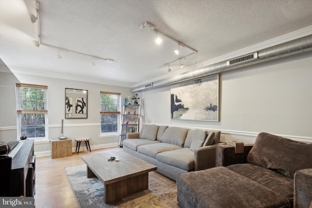 living room featuring light hardwood / wood-style flooring, a healthy amount of sunlight, and rail lighting