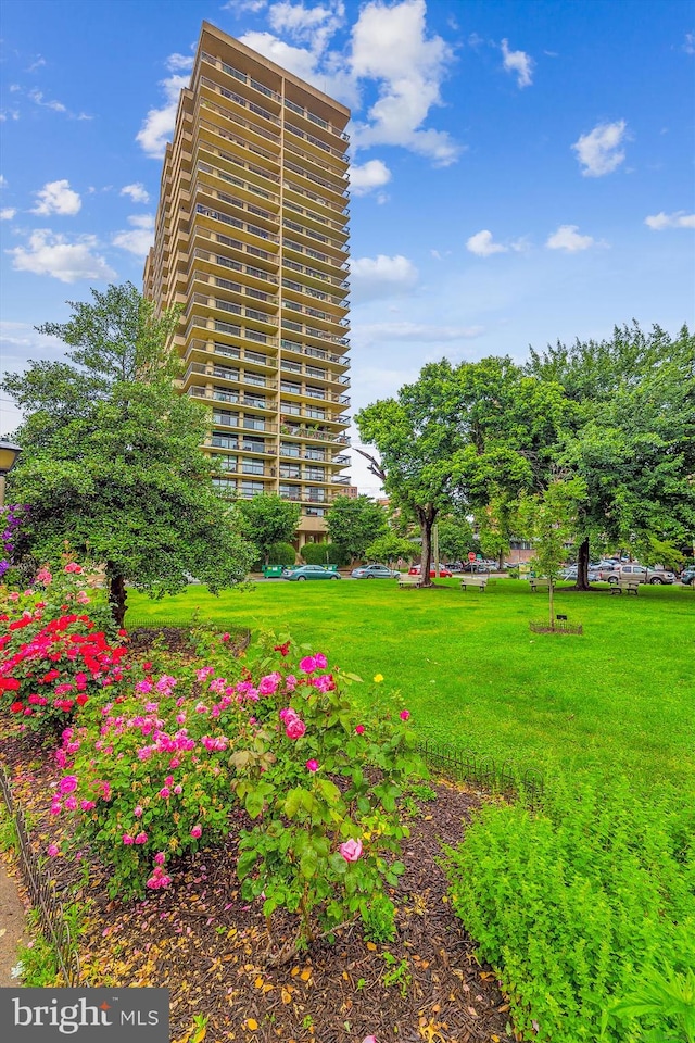 exterior space featuring a lawn