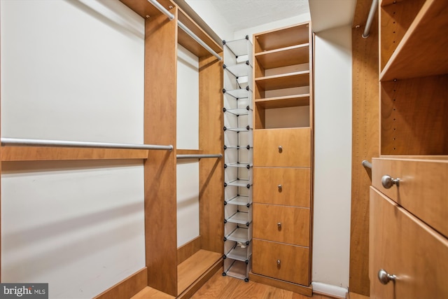 spacious closet with light wood-style flooring