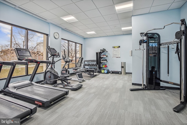 gym with a paneled ceiling, carpet flooring, and baseboards