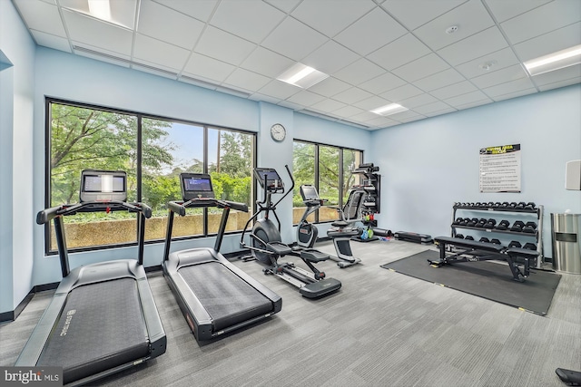 exercise room with carpet, a paneled ceiling, and baseboards