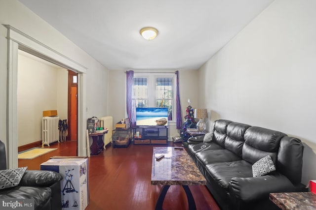 living room featuring radiator heating unit and dark hardwood / wood-style flooring