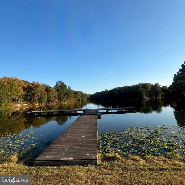 view of dock featuring a water view