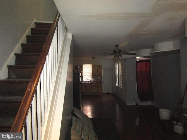 stairs with ceiling fan and hardwood / wood-style flooring