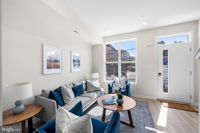 living room with hardwood / wood-style flooring and a wealth of natural light