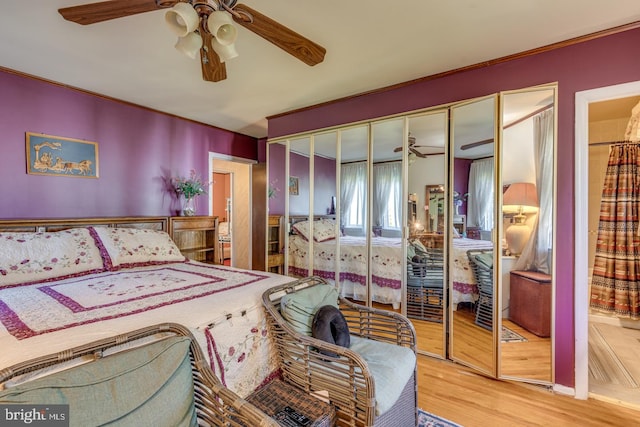 bedroom featuring ceiling fan, a closet, and wood-type flooring