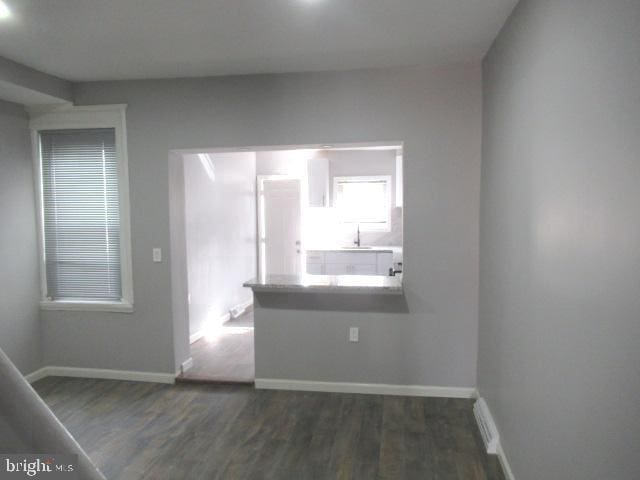 interior space featuring dark wood-type flooring and sink