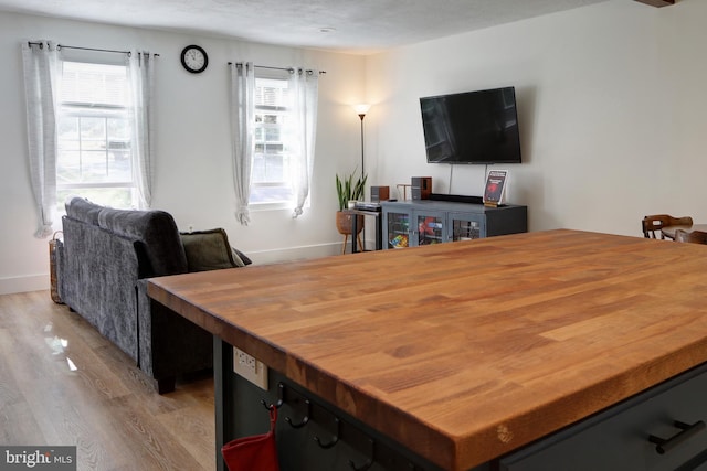 dining room featuring light wood-type flooring, a textured ceiling, and plenty of natural light