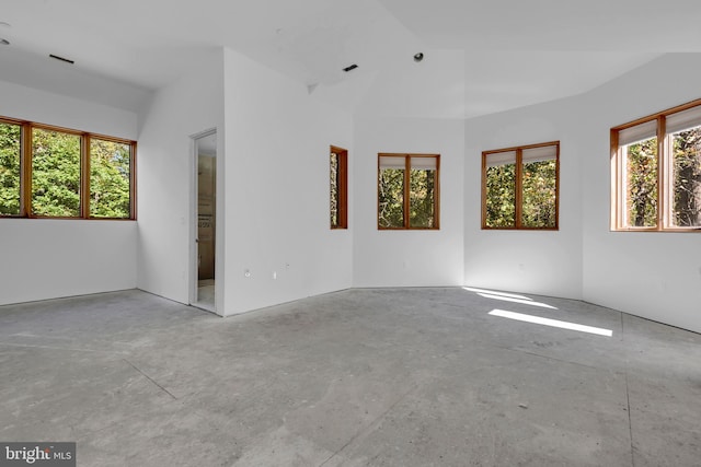 spare room featuring a wealth of natural light and vaulted ceiling