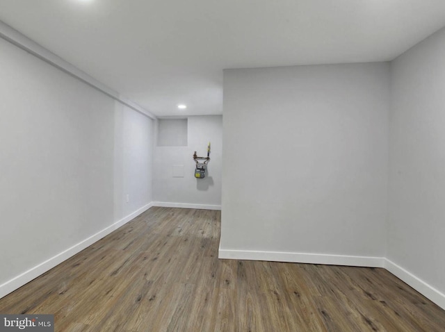 basement featuring wood-type flooring