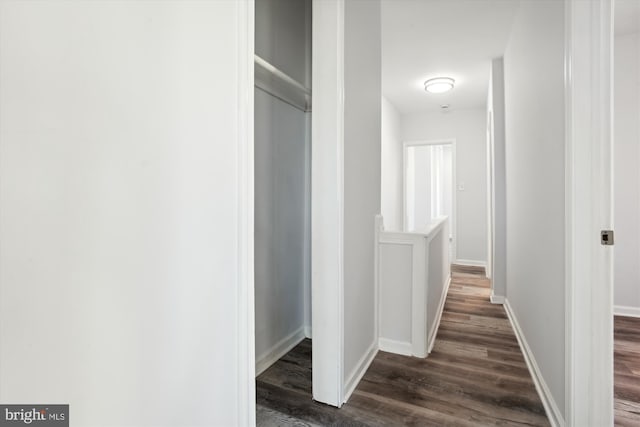 hallway with dark hardwood / wood-style floors