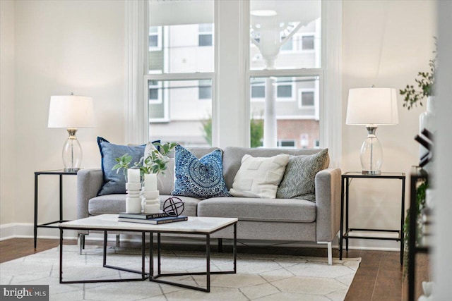 living room with hardwood / wood-style flooring