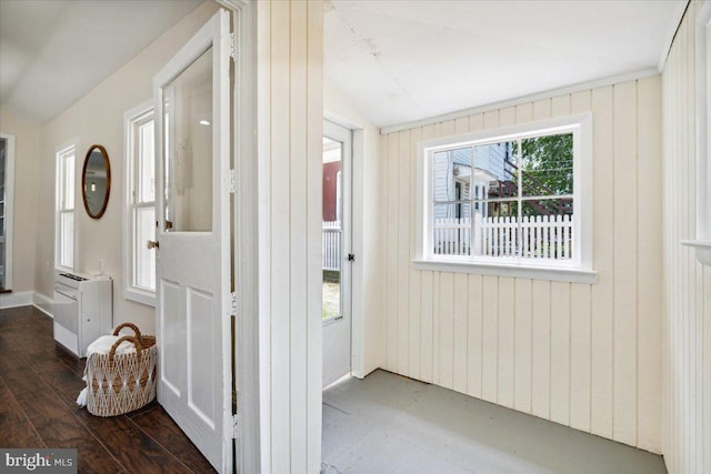 hall with wooden walls and dark wood-type flooring