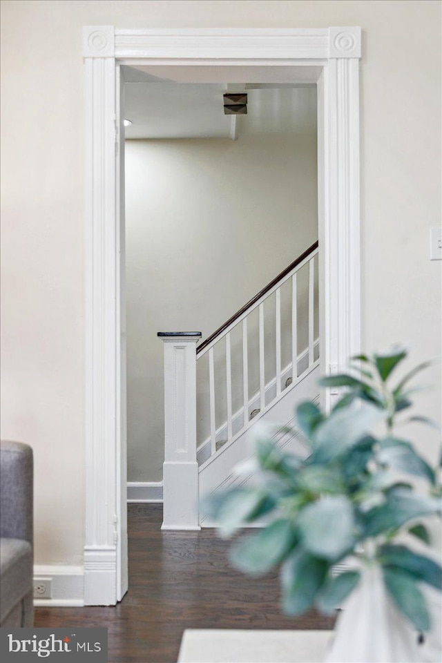 stairway with hardwood / wood-style flooring