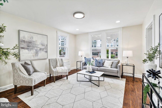 living room with wood-type flooring