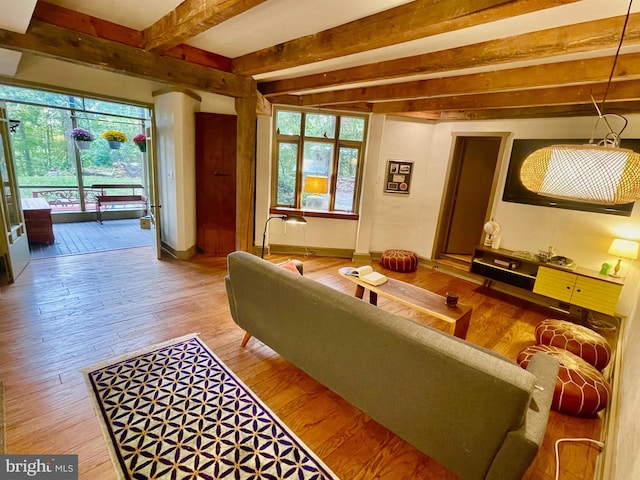 living room featuring hardwood / wood-style flooring and beam ceiling