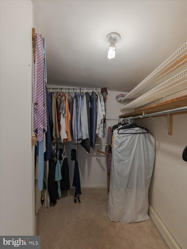 spacious closet featuring light colored carpet