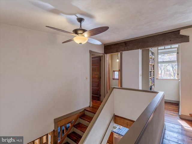 hall with hardwood / wood-style flooring