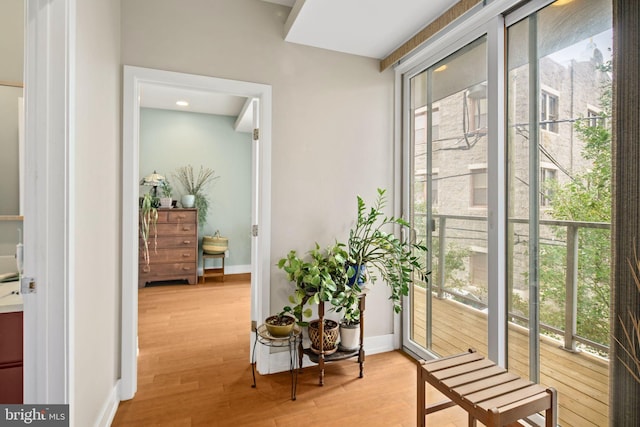 hall featuring light hardwood / wood-style flooring