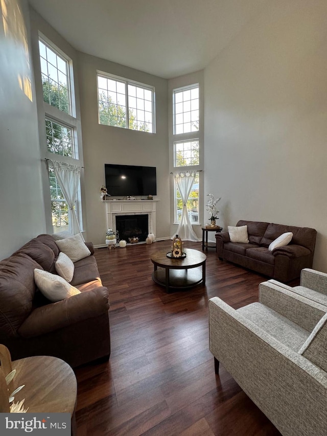 living room with a high ceiling and dark hardwood / wood-style flooring