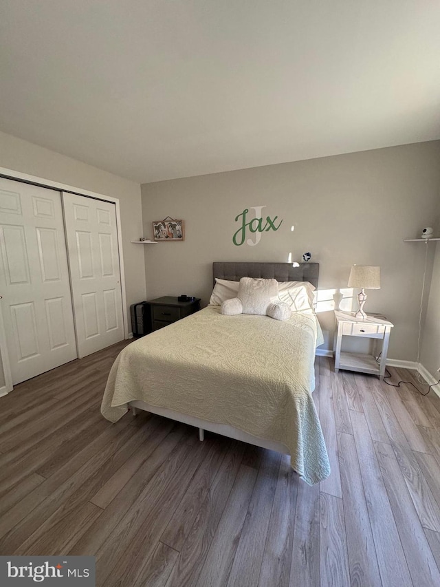 bedroom with wood-type flooring and a closet