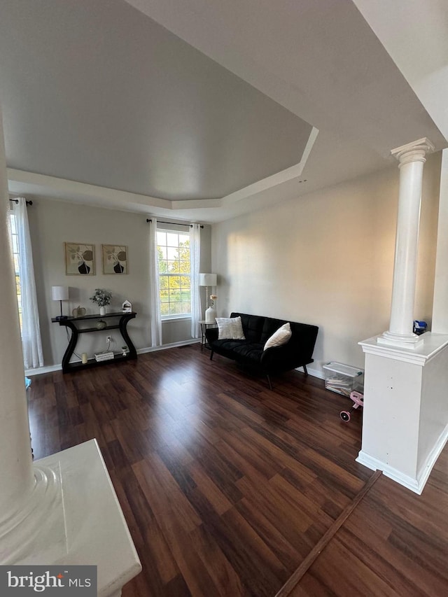 unfurnished living room featuring dark wood-type flooring and a raised ceiling