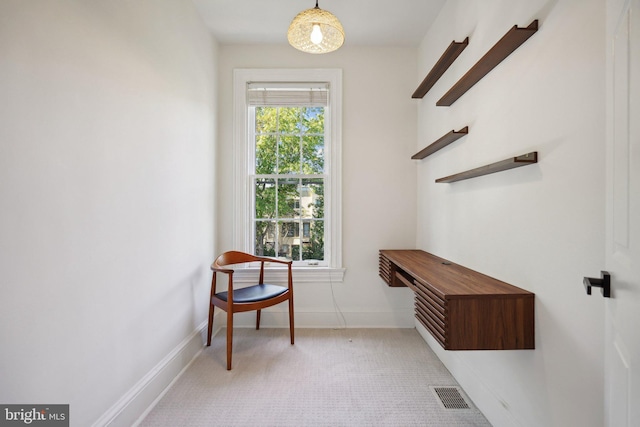 interior space with light colored carpet