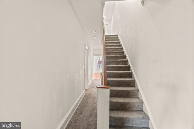 staircase featuring carpet and ornamental molding