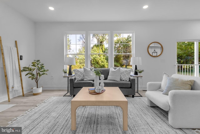 living room featuring light wood-type flooring