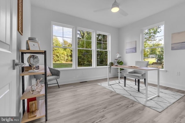 home office featuring ceiling fan and light hardwood / wood-style flooring