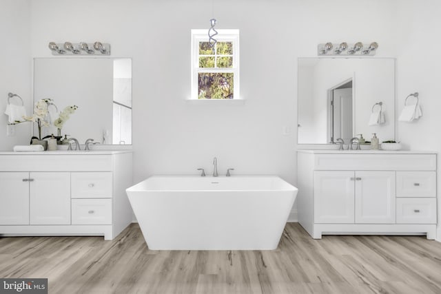 bathroom with two vanities, a sink, a freestanding tub, and wood finished floors