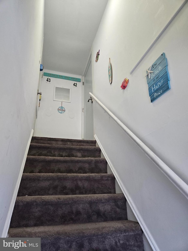 stairs with hardwood / wood-style flooring