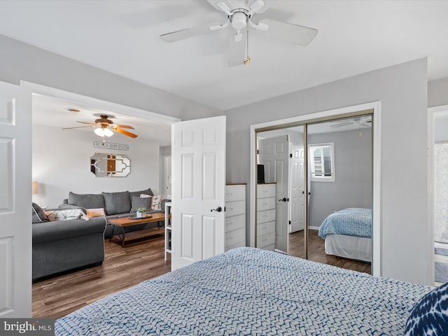 bedroom featuring ceiling fan, a closet, and dark hardwood / wood-style floors