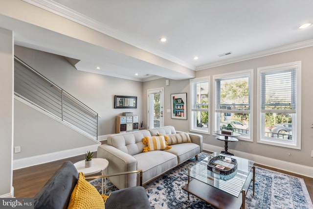 living room featuring crown molding and dark hardwood / wood-style flooring