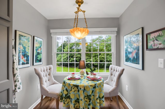 dining area featuring wood-type flooring