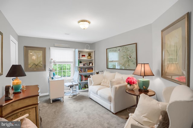 view of carpeted living room