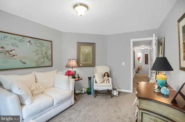 living room featuring light carpet