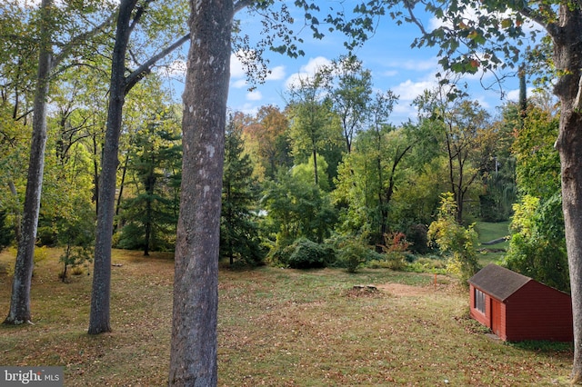 view of yard featuring a storage unit