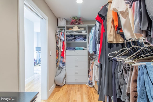 walk in closet with wood-type flooring