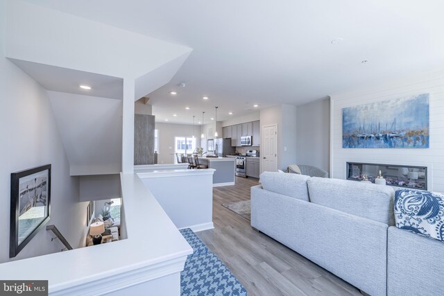 living room with light hardwood / wood-style flooring and a large fireplace