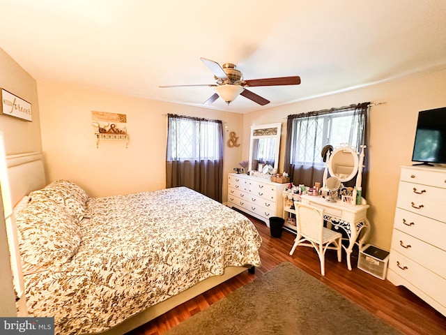 bedroom featuring dark hardwood / wood-style flooring, multiple windows, and ceiling fan