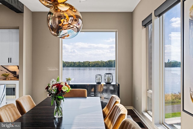 dining room featuring a water view, a healthy amount of sunlight, and wood-type flooring