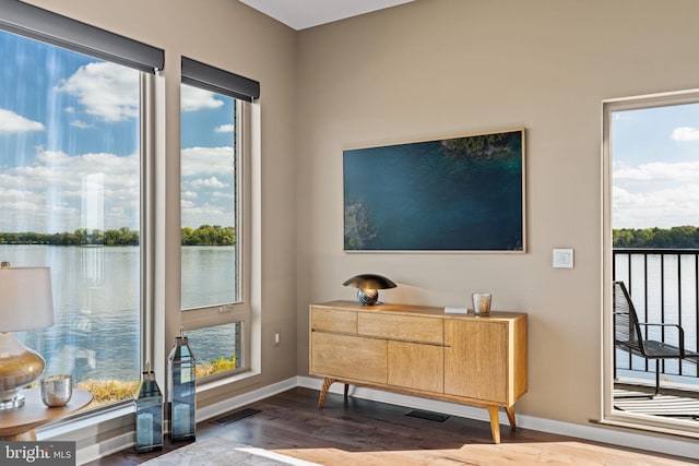 interior space with a water view, plenty of natural light, and dark wood-type flooring