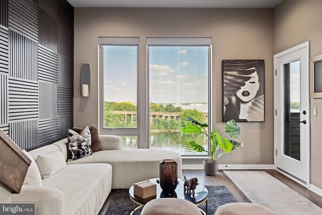 living room featuring hardwood / wood-style floors